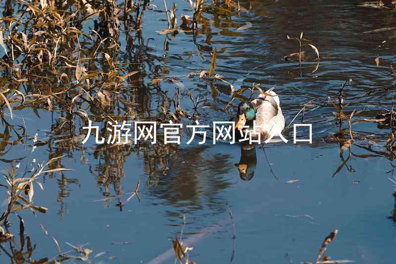九游网官方网站入口