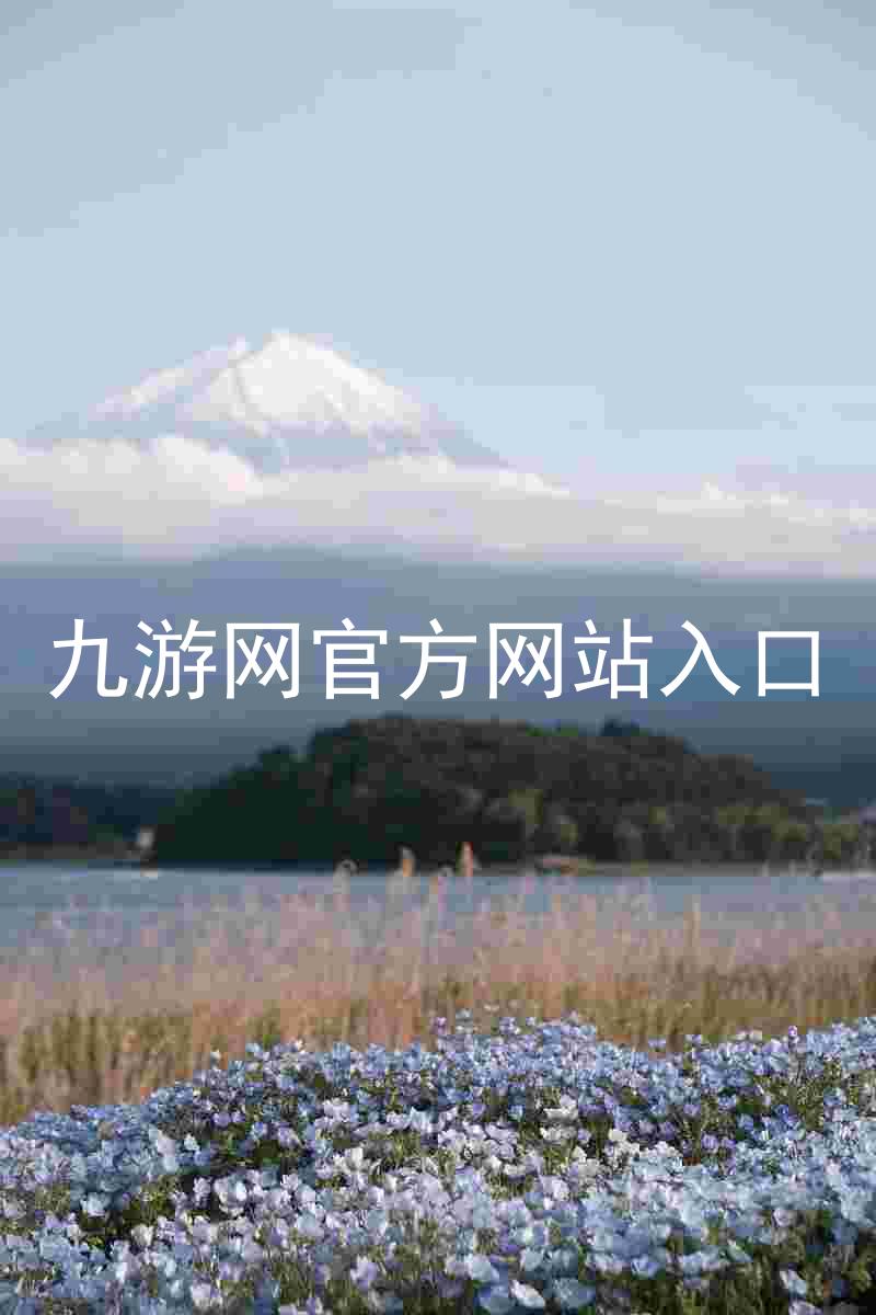 九游网官方网站入口
